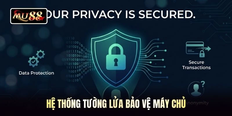 Hệ thống tường lửa bảo vệ máy chủ