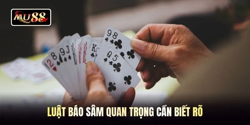 Luật báo sâm quan trọng cần biết rõ