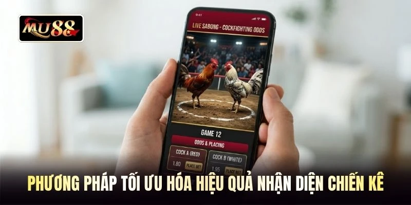Phương pháp tối ưu hóa hiệu quả nhận diện chiến kê
